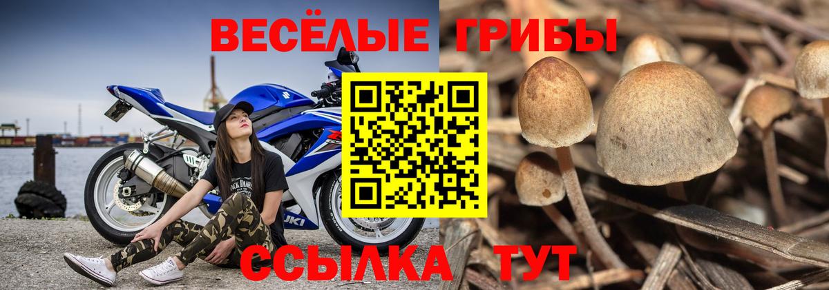 Галлюциногенные грибы Cubensis  Галлюциногенные грибы ЛСД  Вход с VPN  Можайск 